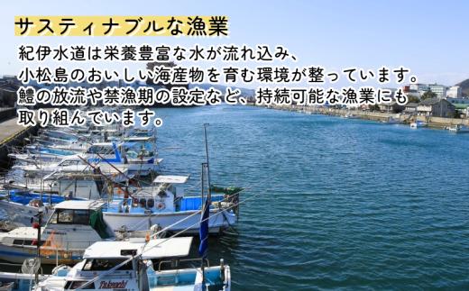 【令和8年産】【2026年11月発送】新米  コシヒカリ 3kg  米 玄米  こめ お米 産地直送  おすすめ 人気  ご飯 ごはん 小松島 コシヒカリ