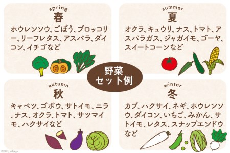 雲仙 季節の採れたてお野菜セット 7～8品目 / 九州きばる / 長崎県 雲仙市 [item0928] 野菜 セット 旬 詰め合わせ 産地直送 食べ比べ