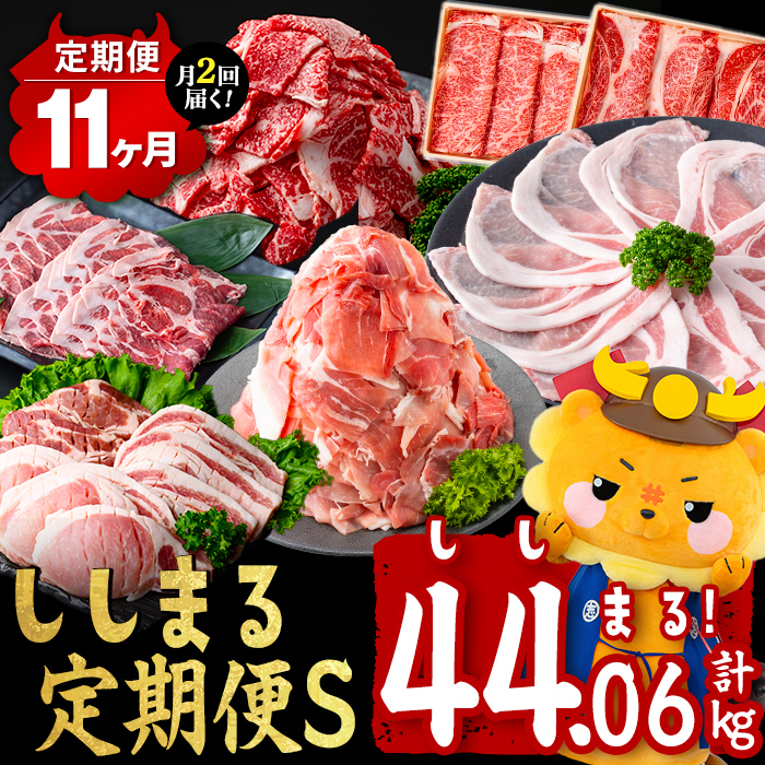 【定期便11ヶ月】ししまる定期便S(11ヶ月連続 月1～2回お届け！・計44.06kg) 黒毛和牛 黒豚 国産牛 九州産 豚 豚肉 肉 牛肉 国産 4等級 小分け 真空包装 冷凍 t0383-001