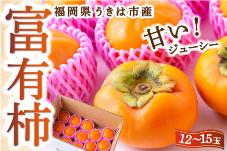 【先行予約】西見柿農園 富有柿 12玉から15玉 2025年11月下旬から12月上旬 出荷予定