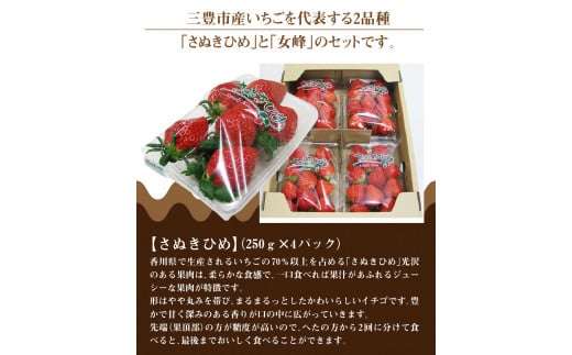 M02-0030_【ふるさと納税】【配送不可地域：北海道・沖縄県・離島】 いちご 食べ比べ セット 女峰いちご さぬきひめ 各 250g 4パック 計 約 2kg 2月上旬より順次発送 甘み 酸味 香