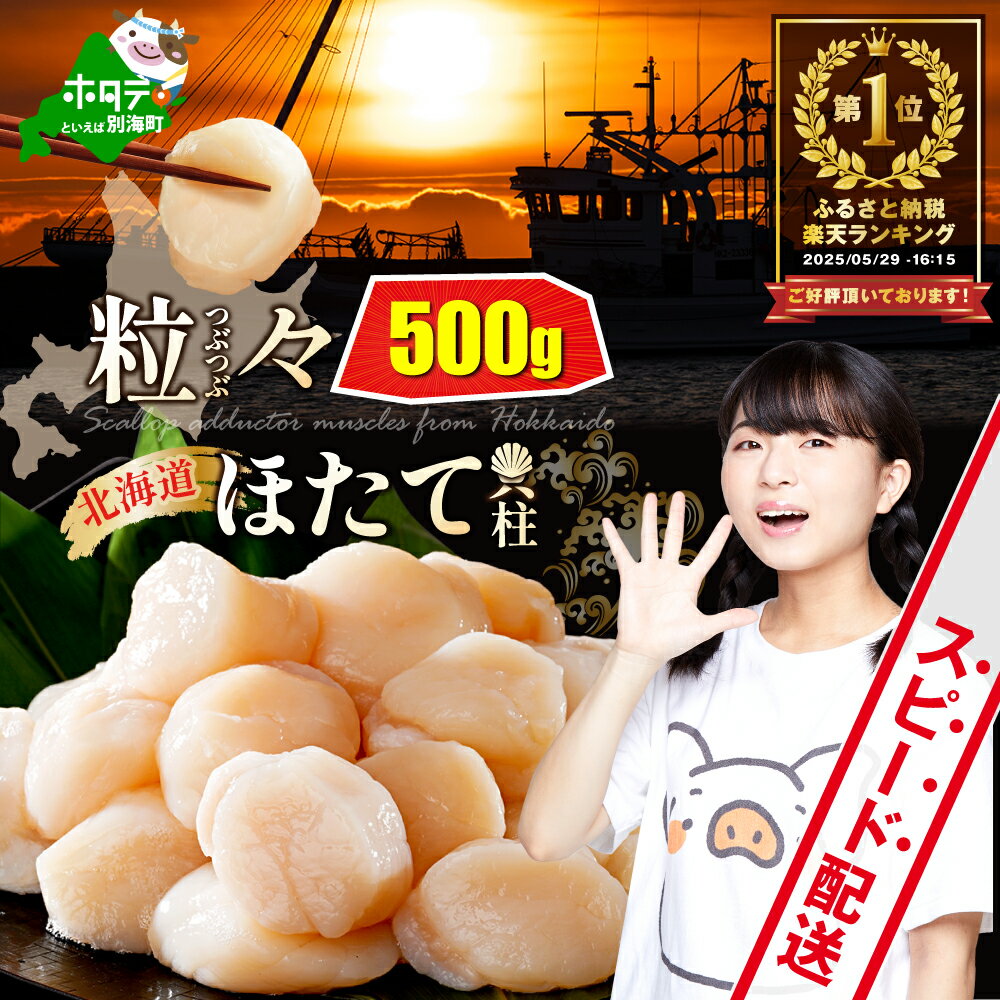 【ふるさと納税】高評価★4.85 ホタテ貝柱 500g 【 発送時期が選べる 】（ ふるさと納税 ホタテ 訳あり ふるさと納税 帆立 ふるさと納税 ホタテ貝柱 北海道産 ふるさと納税 訳あり 不揃い ホタテ玉冷 刺身 ほたて 人気 わけあり ふるさと ホタテ 貝柱 貝 北海道 別海町 ）
