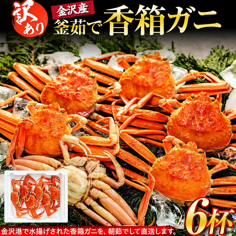 【ふるさと納税】【訳あり】 金沢港より直送！ ボイル 香箱ガニ 6杯セット 釜茹で 冷蔵 先行予約 2026年発送 | わけあり 年内発送 蟹 かに セイコガニ 香箱かに ズワイガニ がに リピート ボイル 香箱 ガニ 蟹 金沢 海鮮 冬季限定