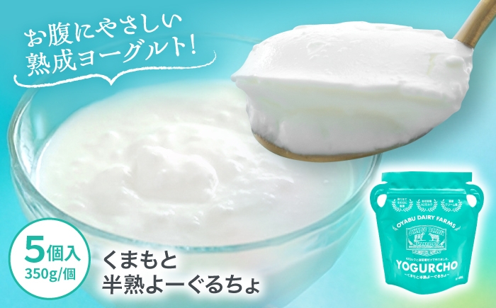 
            オオヤブデイリーファーム くまもと半熟よーぐるちょ 350g×5個セット ヨーグルト 乳製品【株式会社 オオヤブデイリーファーム】 デザート おやつ よーぐるちょ 朝食 昼食 夕食 よーぐると ヨーグルト[AYAE004]
          