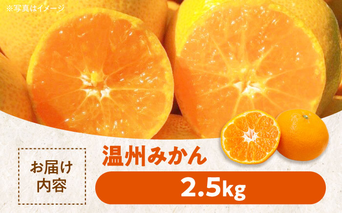 今が旬！ フルーツ セット （ 温州みかん グリーンキウイ 各2.5kg ）