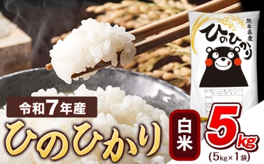 令和7年産  白米 ひのひかり 5kg 《7-14日以内に出荷予定(土日祝除く)》 熊本県産 ふるさと納税 精米 ひの 米 こめ ふるさとのうぜい ヒノヒカリ コメ お米 おこめ