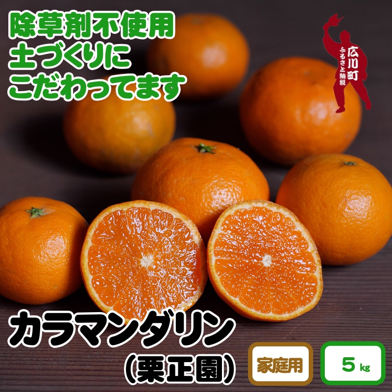 
▼＜紀州有田産＞タカじいの 家庭用 カラマンダリン 5kg（サイズおまかせM～2L） ※2025年4月中旬頃から順次発送予定【krs015-c-5】
