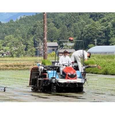ふるさと納税 越前市 【越前市産】令和7年産 特別栽培 コシヒカリ　玄米　10kg |  | 01
