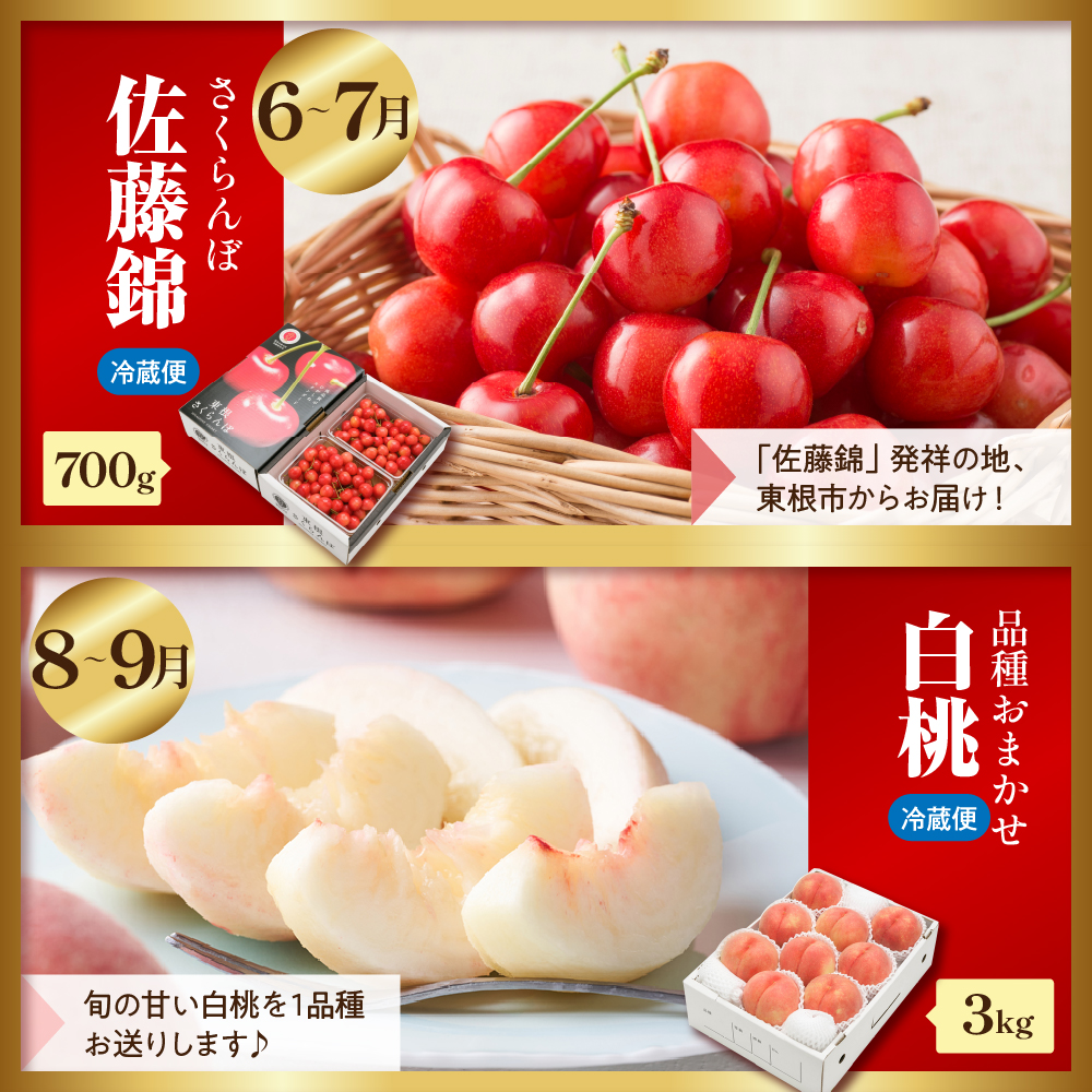 【2026年 全5回定期便】東根フルーツ満喫セット （6月からスタート）さくらんぼ、もも、シャインマスカット、ラ・フランス、りんご　hi027-237