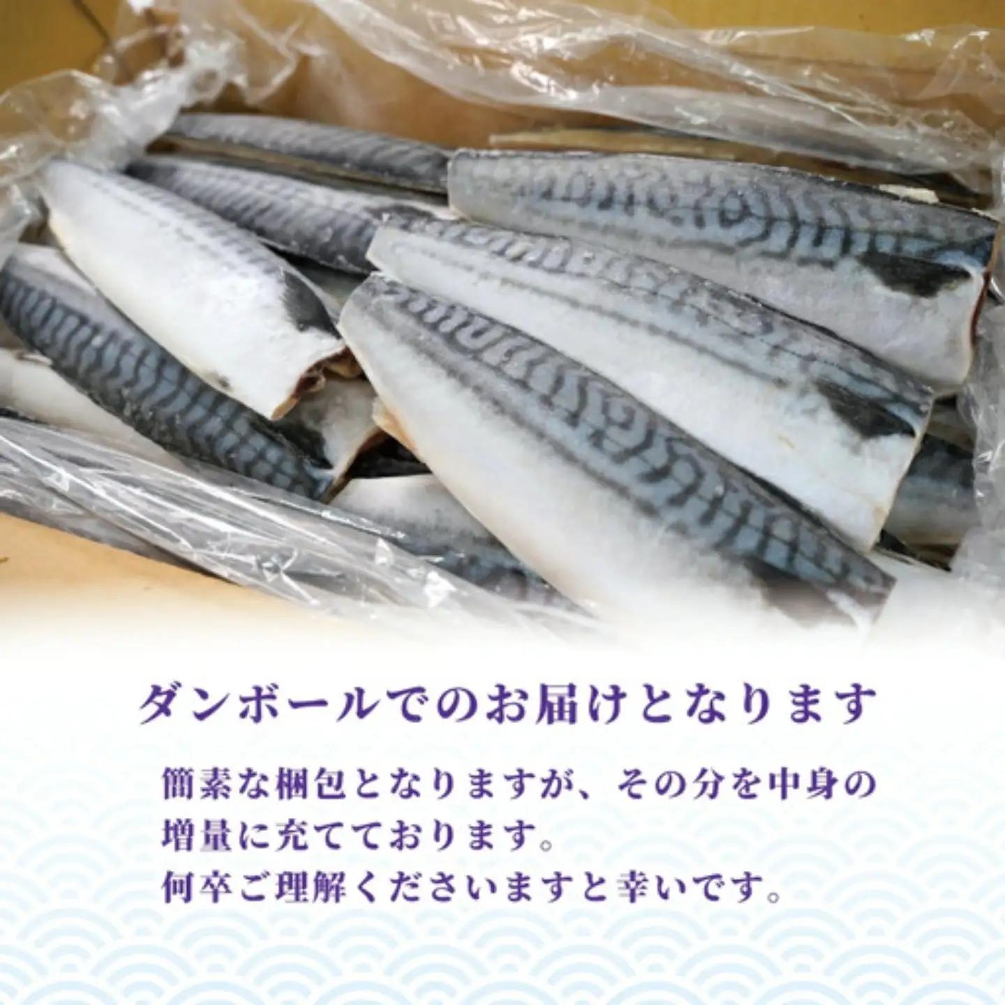 鯖 訳あり 塩鯖 5kg