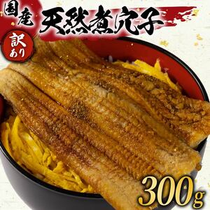 訳あり 国産 肉厚 煮穴子 300g 冷凍 あなご 穴子 天然 穴子穴子穴子穴子穴子穴子穴子穴子穴子穴子