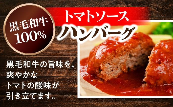 ハンバーグ デミグラス トマトソース 黒毛和牛 牛スジ 味噌だれ ホルモン 煮込み 惣菜セット おかずセット 湯煎 冷凍惣菜 