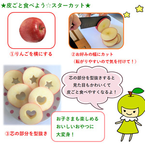 【2026年4月中旬発送】春のサンふじ りんご 約5kg 【特選】 スマートフレッシュTM貯蔵 贈答用 青森県産