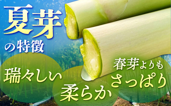 【新鮮でみずみずしい】夏芽アスパラガス 700g【けいちゃん農園】 [HCC005]