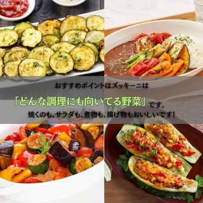 ふるさと納税 小松市 ズッキーニ 約2kg (10本前後) ずっきーに 小松市産 |  | 03