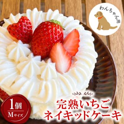 ふるさと納税 御代田町 【2026年発送】愛犬用 完熟いちごネイキッドケーキ Mサイズ 1個