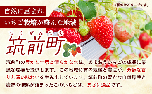 筑前町産 あまおう 4パック (約250g×4パック)【いちご イチゴ 苺 あまおう フルーツ くだもの あまおういちご 果物 福岡県 筑前町 AE001】