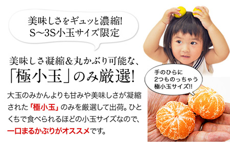  訳あり みかん ひとくちもぎたてみかん約 7kg (3.5kg×2箱) S-3Sサイズ 《9月下旬-12月下旬頃出荷》 みかん 訳ありみかん 熊本県産みかん 大容量