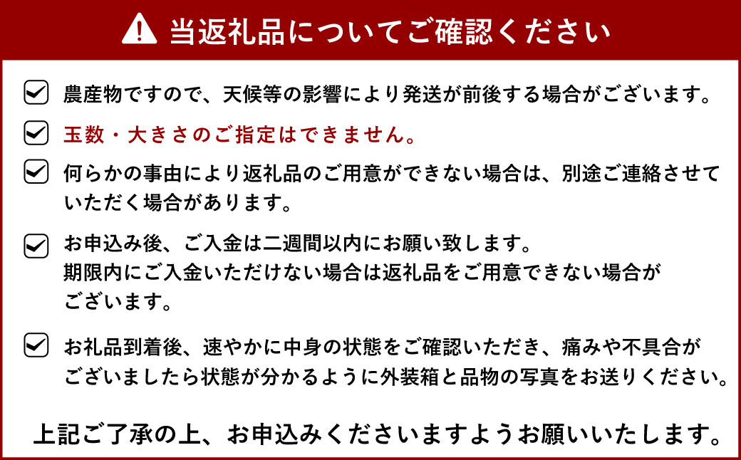 【先行予約】宇城市産 デコみかん 約6kg【2025年1月下旬から3月上旬発送】不知火 形不揃い 柑橘 フルーツ