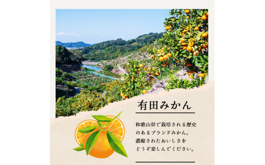 有田 みかん 特選 5kg 【 創業120年 農家直送 】 / 温州みかん 有田みかん 甘い 高級 和歌山 柑橘 ※11月中旬～1月中旬に順次発送 【isy004-r-5B】