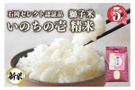 【3月発送】獅子米 いのちの壱 精米 5kg 岡田ファーム コンテスト受賞米 お米 白米 米 おこめ ブランド米 5キロ 国産 単一原料米 コメ こめ ご飯 銘柄米 茨城県産 茨城 産直 産地直送 農家直送 ごはん 家庭用 贈答用 ギフト 茨城県 石岡市 (B02-053)