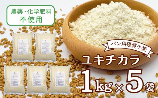 
            農薬・化学肥料不使用 オータニ農業の『ユキチカラ』小麦粉(中力粉) 1kg×5袋(547) 国産 手作り パン お菓子 
          