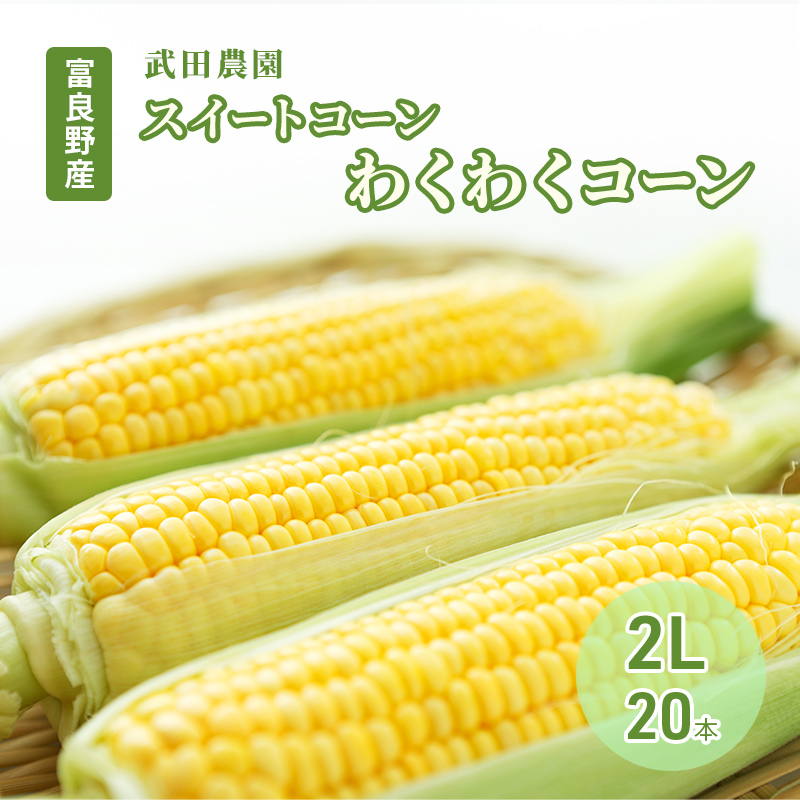 2026年夏発送 ［武田農園とれたて直送］スイートコーン わ