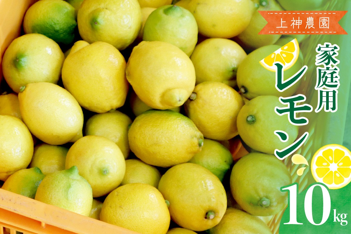 
                  【先行受付】【2026年11月～発送】上神農園 家庭用 広島産 レモン 約10kg ku011-044-26
                