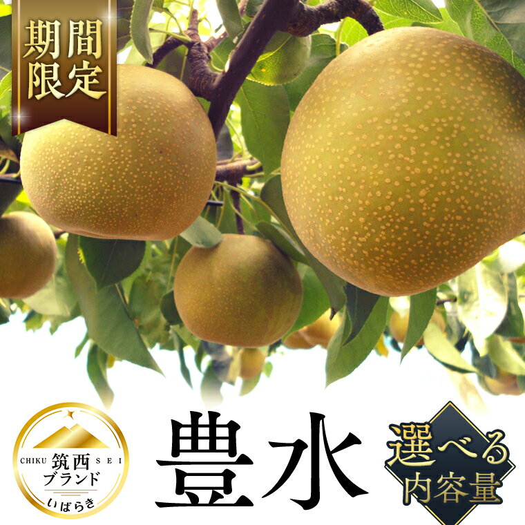 【ふるさと納税】【 JA 北つくば 】 筑西ブランド 認証品 豊水 ( 選べる 内容量 ) 2025年産 先行予約 梨 果物 フルーツ なし ナシ