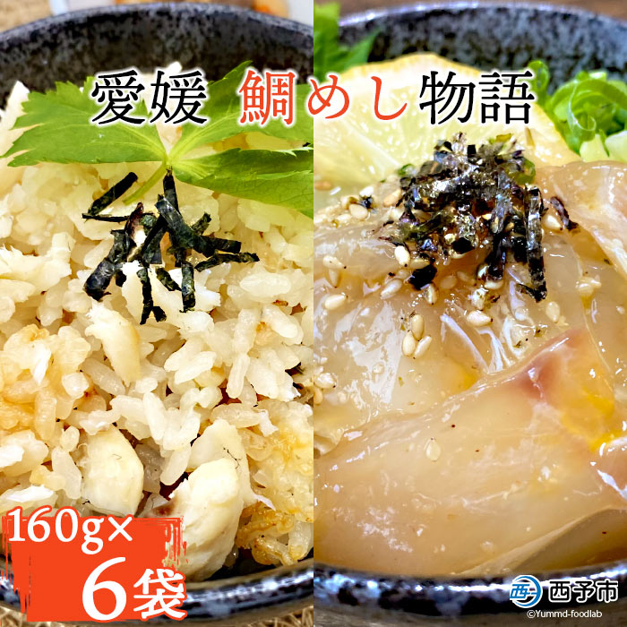【ふるさと納税】＜愛媛 鯛めし物語（160g×6袋）＞※1ヶ月以内に順次発送予定です。 魚 海産物 郷土料理 たい 丼 食べ比べ お祝い 野福 特産品 愛媛県 西予市 【冷凍】