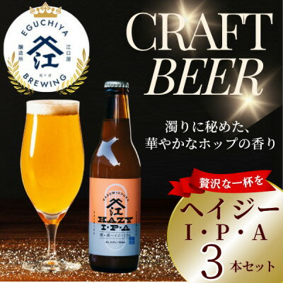 【ふるさと納税】クラフトビール ヘイジーIPA 計990ml 3本セット【配送不可地域：離島】【1650942】