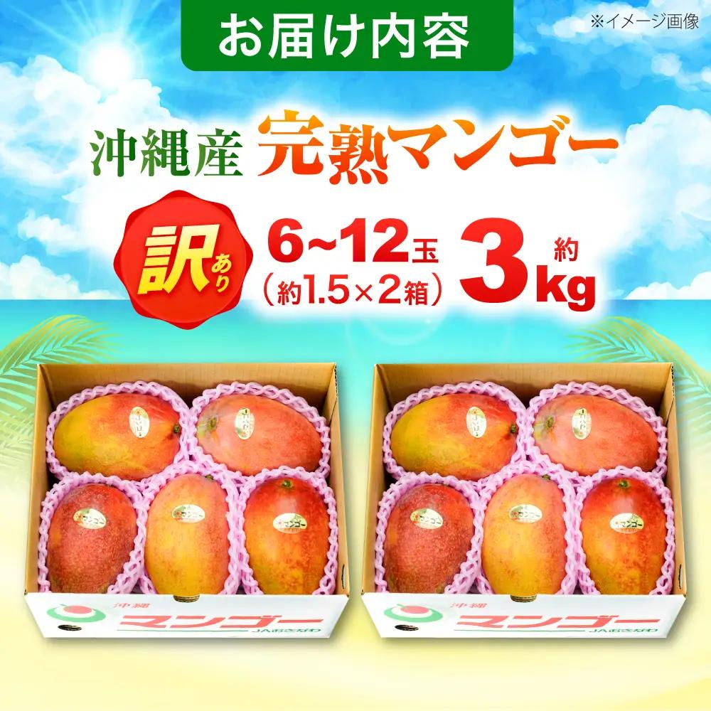 マンゴー 【2027年発送】訳あり 完熟マンゴー 約3kg (3-6玉×2箱) BCAA003
