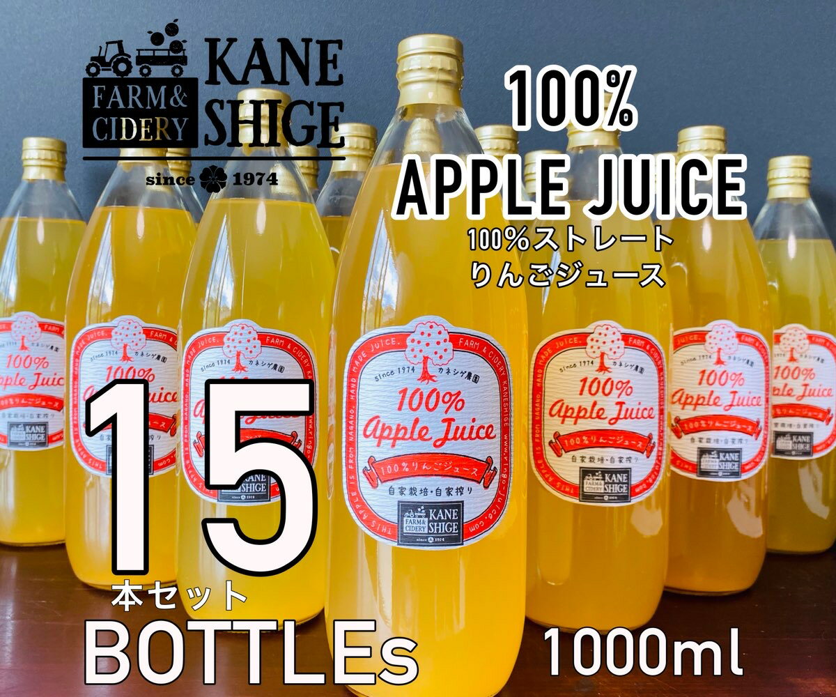 【ふるさと納税】100％ストレートりんごジュース　1L×15本セット