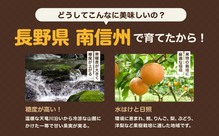 南信州産 梨 約10kg ＜ 幸水 ・ 豊水 ＞ いずれか1品種 おまかせ 【2026年8月中旬～発送】