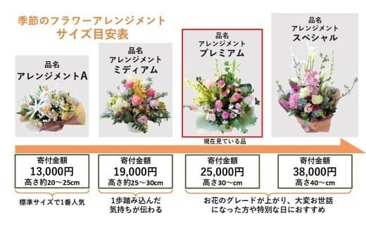 サイズ目安表