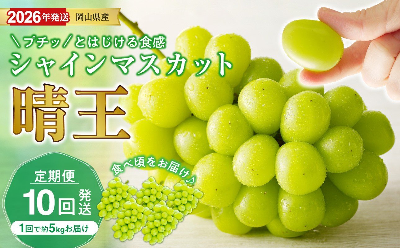 
            【2026年発送分 先行受付スタート！】【定期便】岡山県産シャインマスカット「晴王」　秀品　大房（約5kg・5～9房目安）×10回発送（令和8年7月以降発送）【 シャインマスカット 晴王 フルーツ 果物 くだもの 葡萄 ぶどう 岡山県産 秀品 大房 種無し 高糖度 】
          