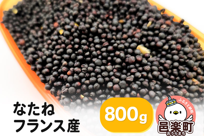 
            なたね フランス産 800g×1袋 サイトウ・コーポレーション 飼料
          
