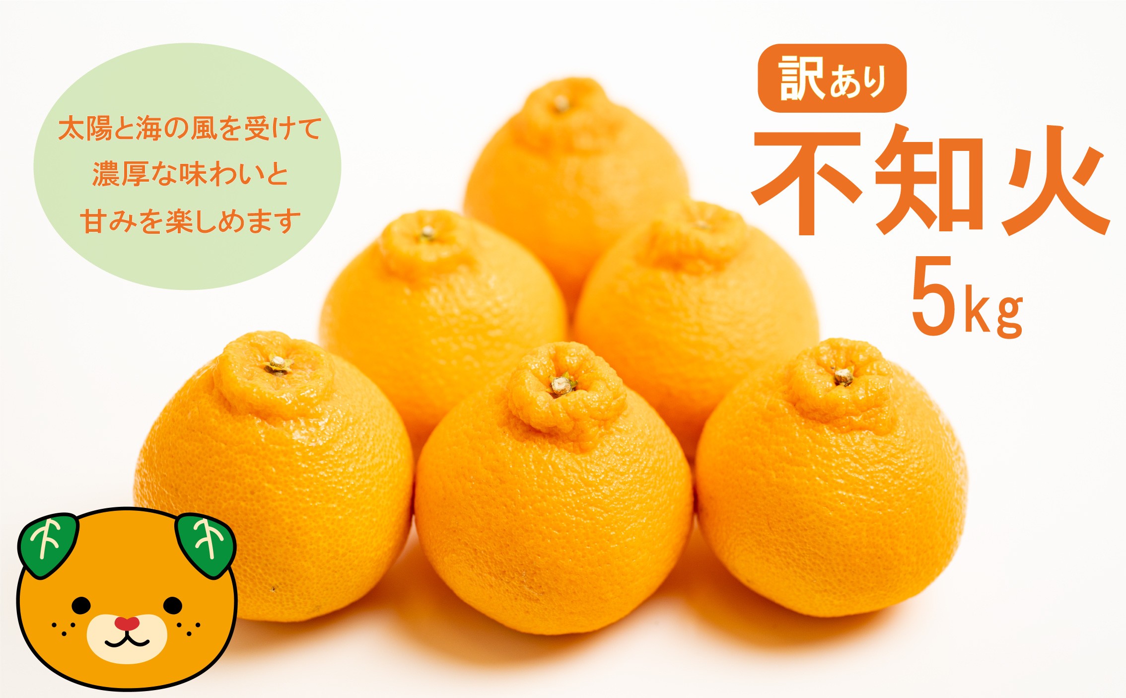 
                  【先行予約】 訳あり 減農薬 不知火 5kg 10000円 サイズミックス サイズ混合 不揃い 柑橘 かんきつ 蜜柑 愛媛 みかん しらぬい 清見 ポンカン オレンジ  国産 こくさん 果物 くだもの フルーツ デザート ジュース 果実 甘い ジューシー おいしい 濃厚 産地 直送 産直 特産品 愛媛県 愛南町 愛南フルーツ 発送：2027年3月下旬～(なくなり次第終了)
                