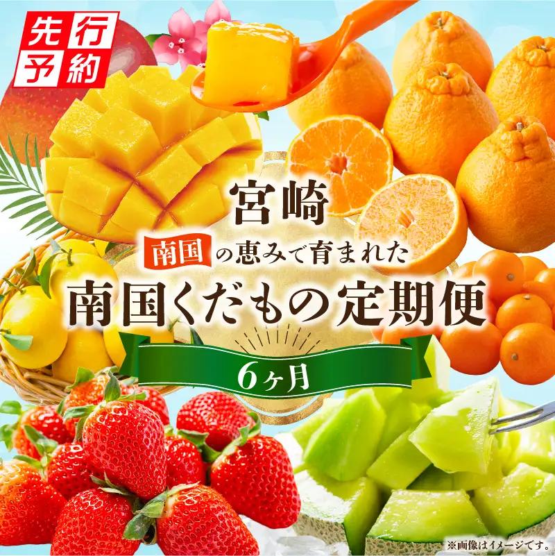 フルーツ 果物 フルーツ[2027年発送先行予約 定期便 6ヶ月]