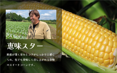 《今が旬！》採れたてスイートコーン(恵味スター)3L・12本セット 【糖度目安:約17度】《2025年7月中旬-8月下旬出荷》