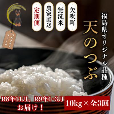 ふるさと納税 矢吹町 【発送月固定定期便】【2026年11月より順次発送予定】無洗米 農家直送 天のつぶ 10kg全3回
