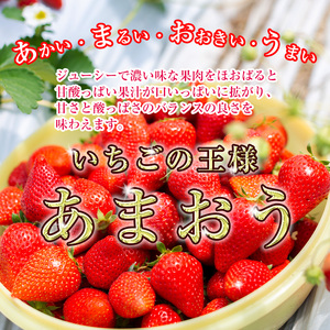 【冷凍】 いちご あまおう 限定  苺 イチゴ 合計1500g 約750g×2 ブランド ストロベリー 博多 大人気 限定品 高級 フルーツ 果物 くだもの 特別栽培 プレゼント 九州 福岡 宮若市 