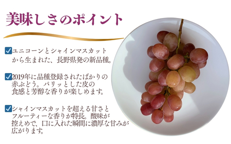 【2026年先行予約】訳あり クイーンルージュ®  約2kg（4~6房）※最低1.8kg以上｜ ぶどう ぶどう
