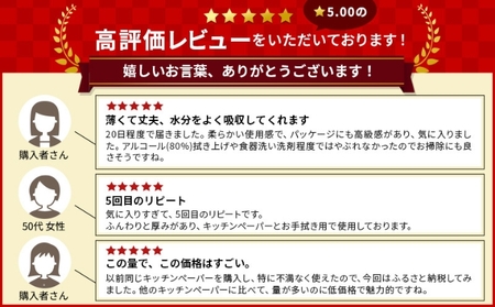キッチンペーパー（60W×12）エンボス加工 再生紙100％ ティッシュ型 キッチン用品 ペーパータオル