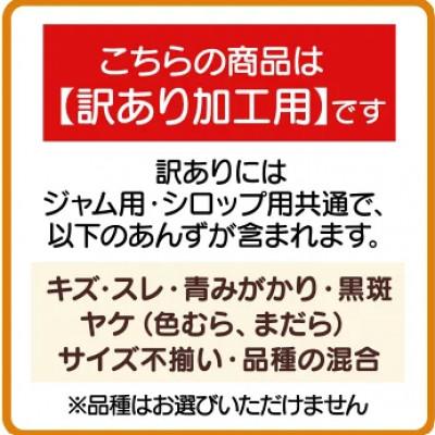 ふるさと納税 千曲市 【2026年先行予約】長野県千曲市産 訳あり　加工用　生あんず 約1.5kg |  | 01
