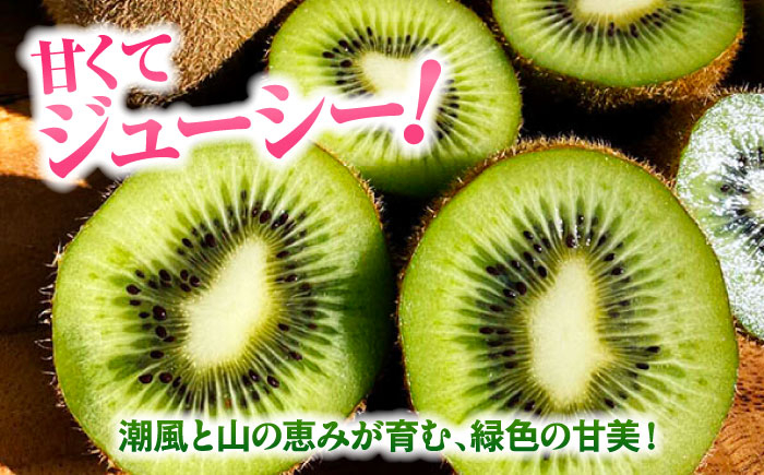 キウイフルーツヘイワード 大玉150g以上 16個 甘熟パック入り・フルーツキャップ付き