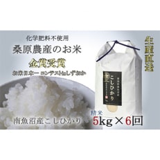 【毎月定期便】桑原農産のお米　コシヒカリ5kg 全6回