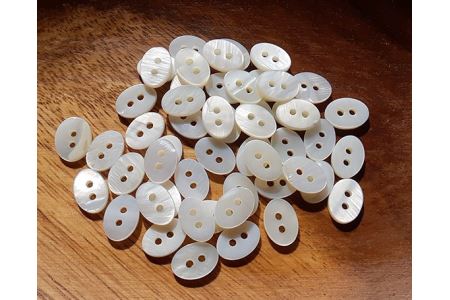 No.064 WATAKUMI　白シャツ　HIYOKU（S）