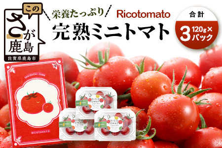 【先行予約】完熟ミニトマト 【少量パック】 120gx3p　たにぐちファーム 完熟ミニトマト 360g とりこになるトマト 野菜 とまと トマト リコピン 佐賀産 佐賀県 鹿島市　A-212