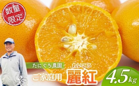 【数量限定】ご家庭用 たにぐち農園の麗紅 (れいこう) 約4.5㎏ Lサイズ以上 みかん れいこうみかん ミカン 柑橘 フルーツ 果物 くだもの 家庭用 れいこう オレンジ 旬 産地直送 農家直送 【2026年2月より順次発送予定】